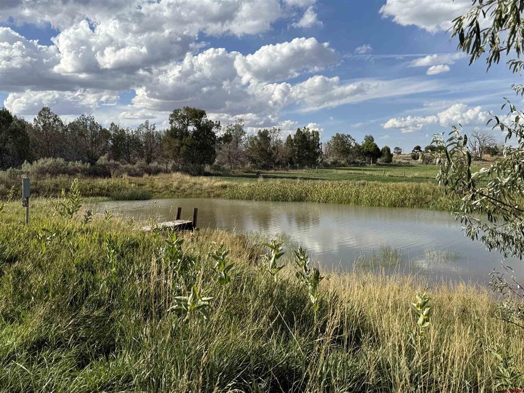 20623 Road N Cortez CO 81321
