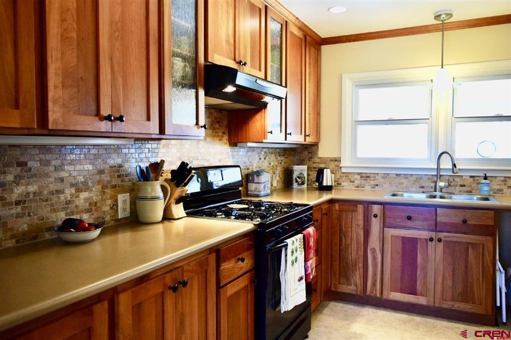 17 Spruce Drive Montrose CO 81401