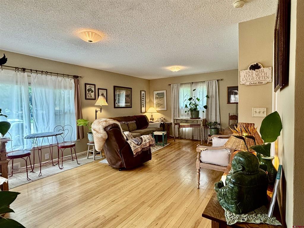 17 Spruce Drive Montrose CO 81401