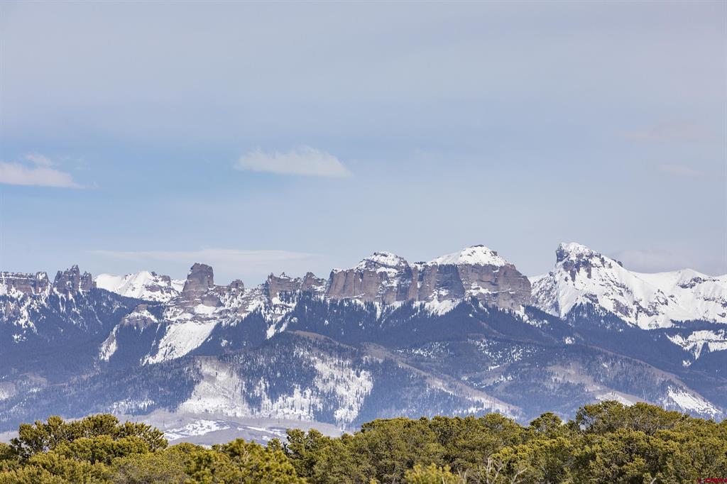 41 Oak Road Ridgway CO 81432