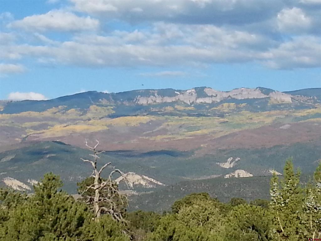 41 Oak Road Ridgway CO 81432