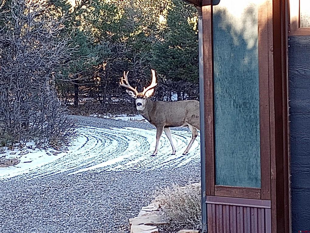 41 Oak Road Ridgway CO 81432