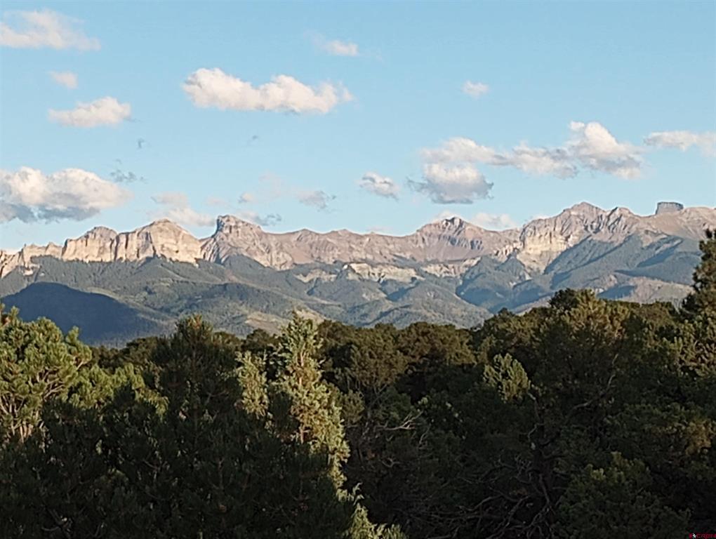 41 Oak Road Ridgway CO 81432