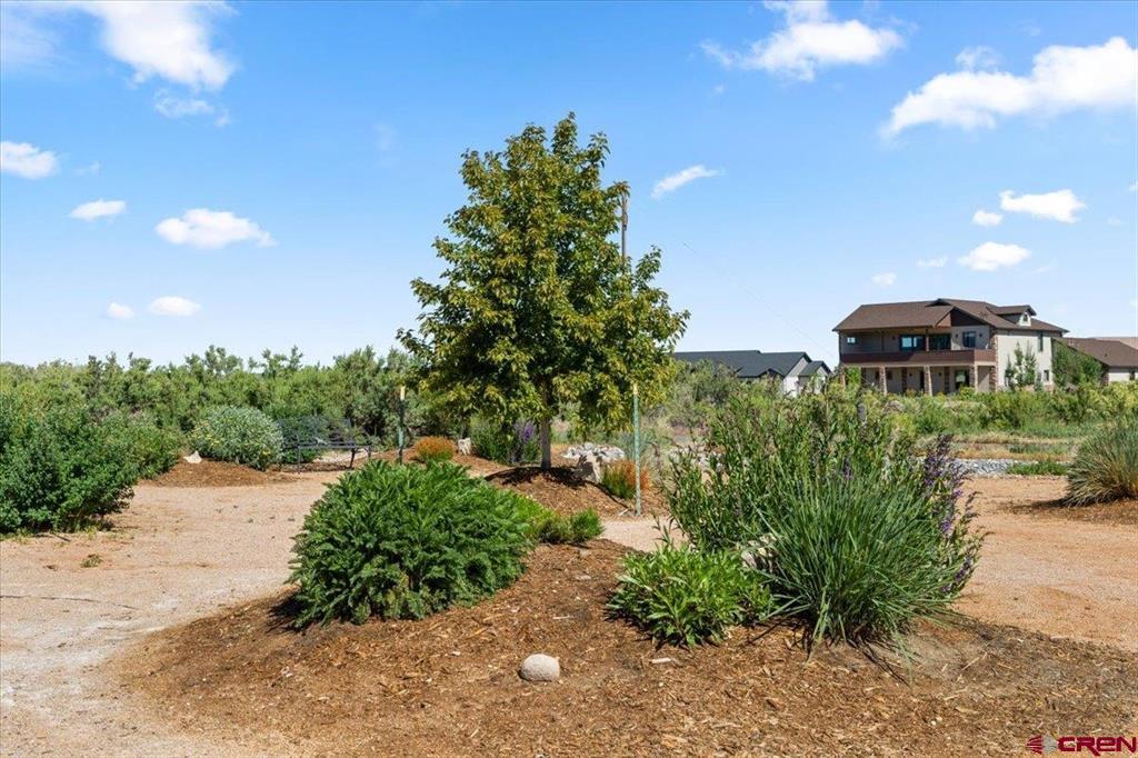 2814 Glacier Drive Montrose CO 81401
