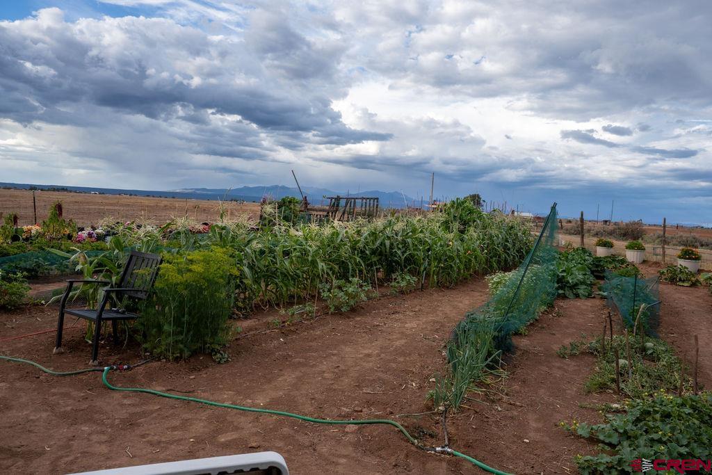 3771 County Road 131 Hesperus CO 81326