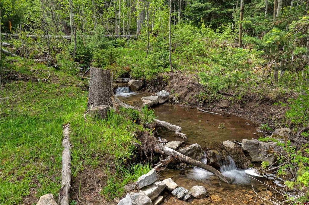 4564 Middle Mountain Road Bayfield CO 81122