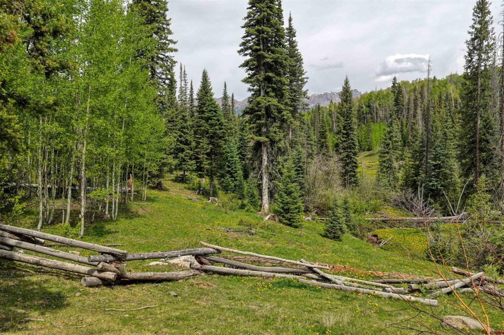 4564 Middle Mountain Road Bayfield CO 81122