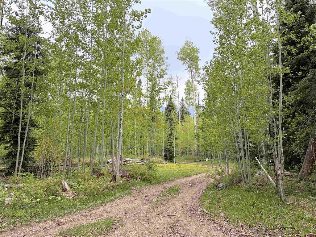 4564 Middle Mountain Road Bayfield CO 81122
