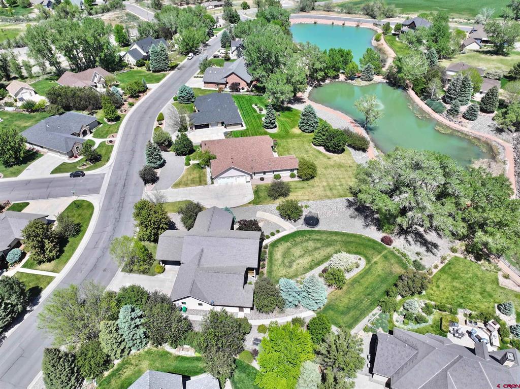 2016 Brook Way Montrose CO 81403