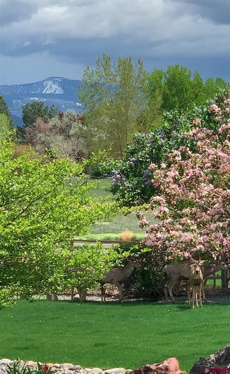 2016 Brook Way Montrose CO 81403