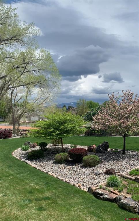 2016 Brook Way Montrose CO 81403