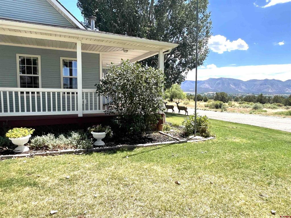 706 Apple Drive Cortez CO 81321