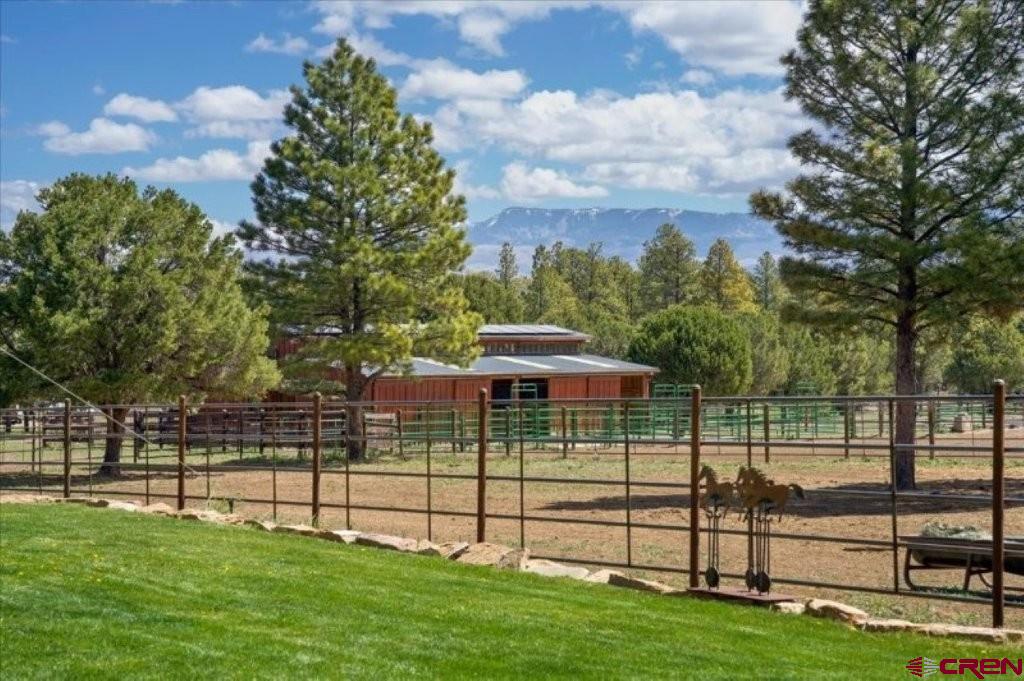 423 Wisteria Drive Montrose CO 81403