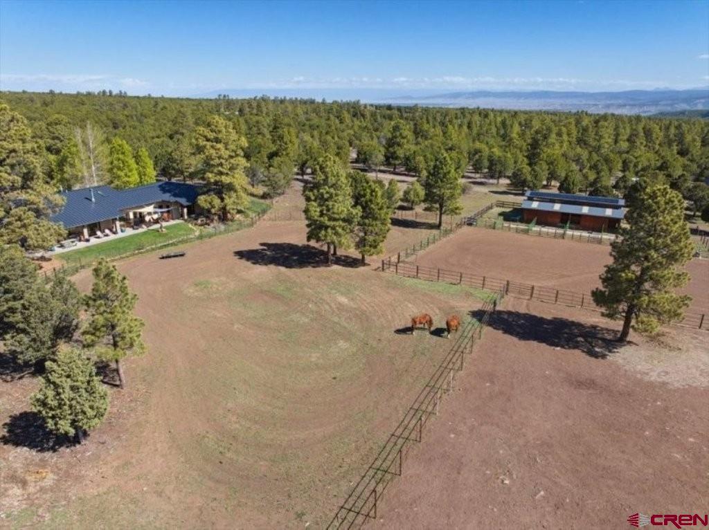 423 Wisteria Drive Montrose CO 81403