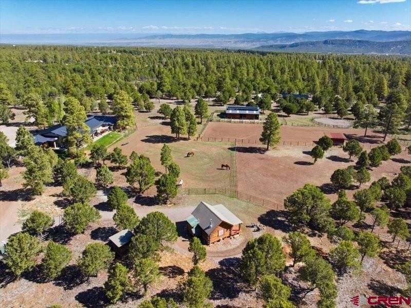 423 Wisteria Drive Montrose CO 81403
