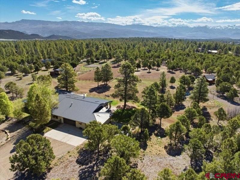 423 Wisteria Drive Montrose CO 81403