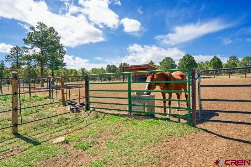 423 Wisteria Drive Montrose CO 81403