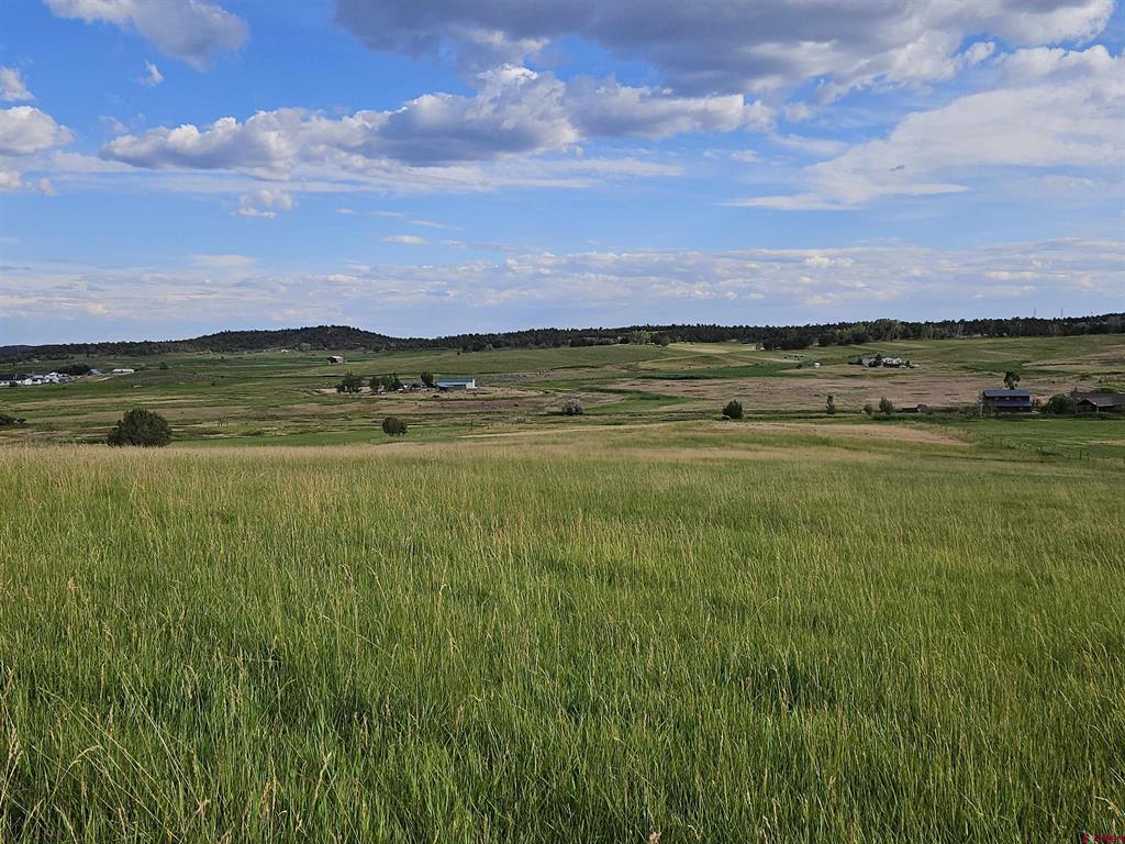 8684 County Road 510 Bayfield CO 81122