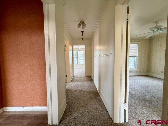 35 S Nevada Avenue Montrose CO 81401