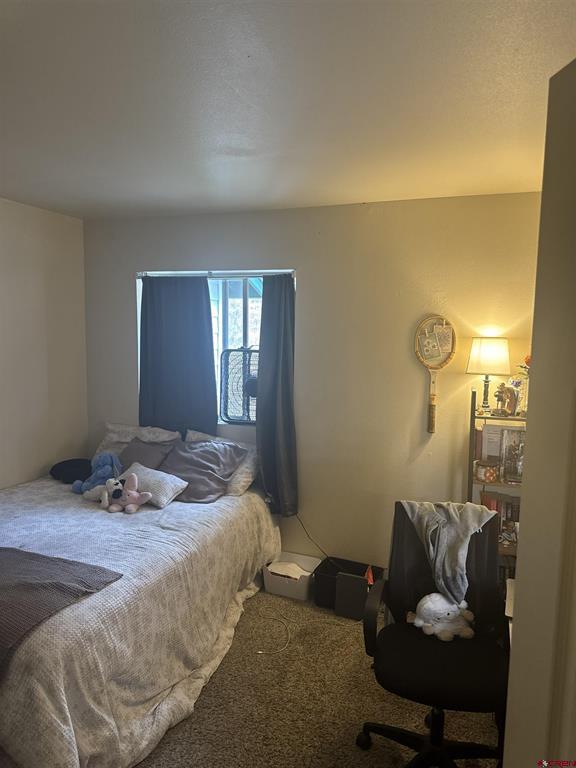 1100 Geoglein Gulch Road Durango CO 81301