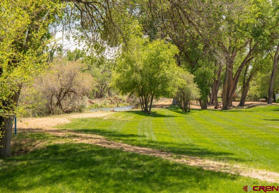 62880 Lasalle Road Montrose CO 81401