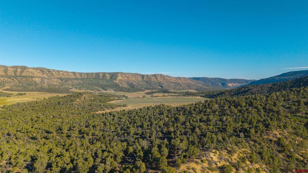 40532 Road G Mancos CO 81328