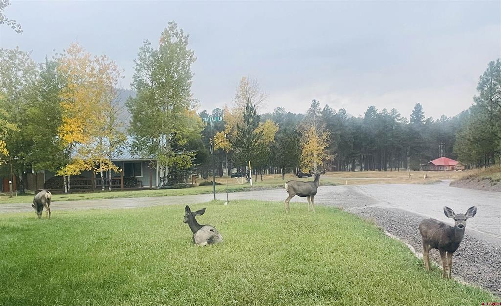 322 Alpine Forest Drive Bayfield CO 81122
