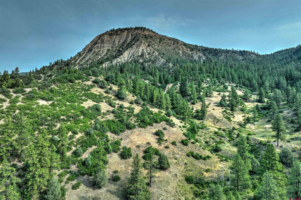 11100 Highway 84 Highway Pagosa Springs CO 81147