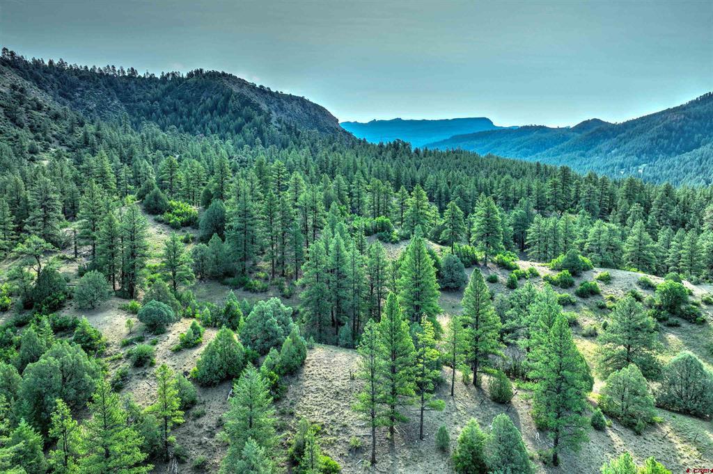 11100 Highway 84 Highway Pagosa Springs CO 81147