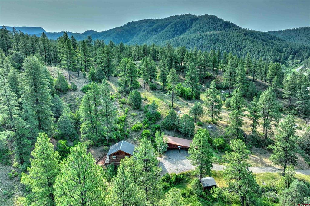 11100 Highway 84 Highway Pagosa Springs CO 81147