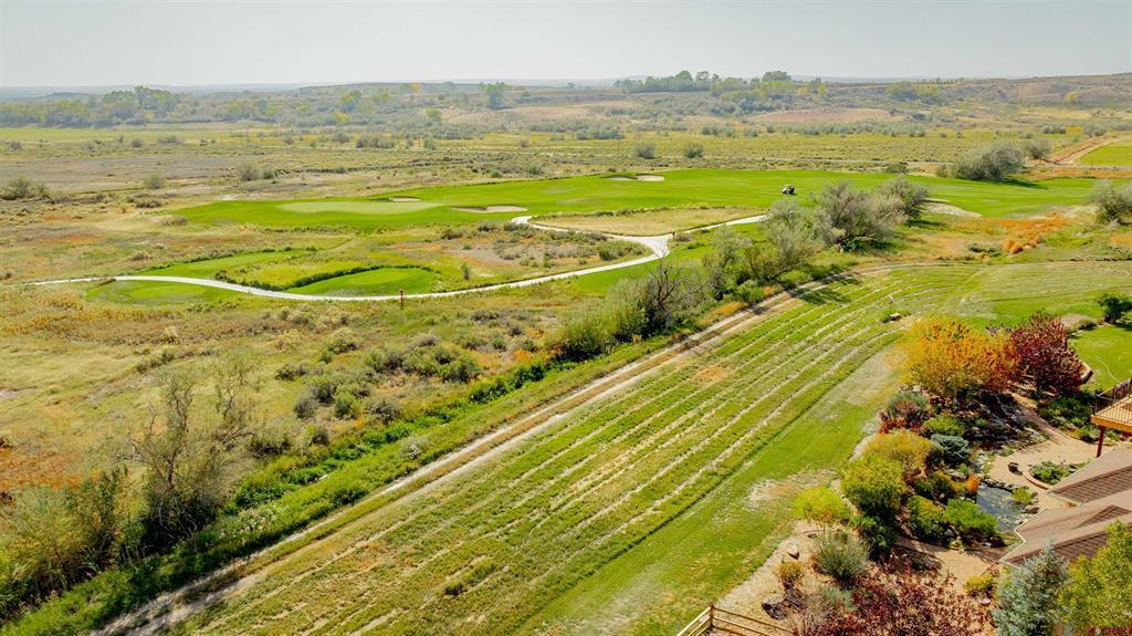 463 Cobble Drive Montrose CO 81403