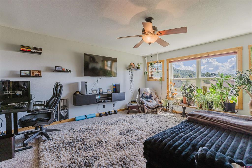 1479 Hills Circle Pagosa Springs CO 81147