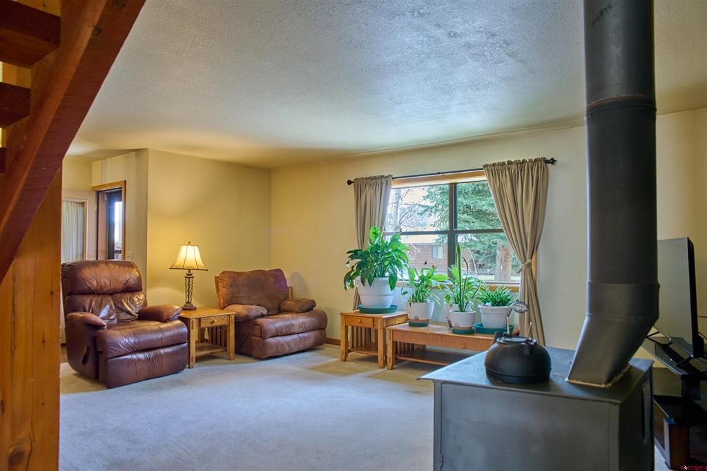 143 Rio Vista Circle South Fork CO 81154