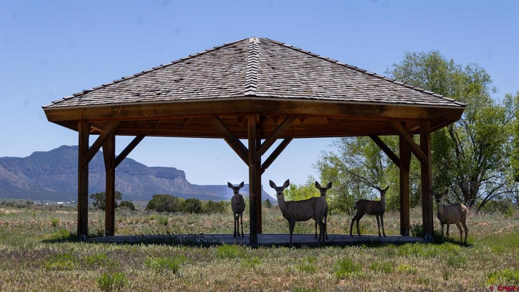 801 L Way Cortez CO 81321