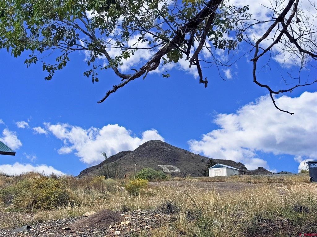 1020 7th Street Del Norte CO 81132