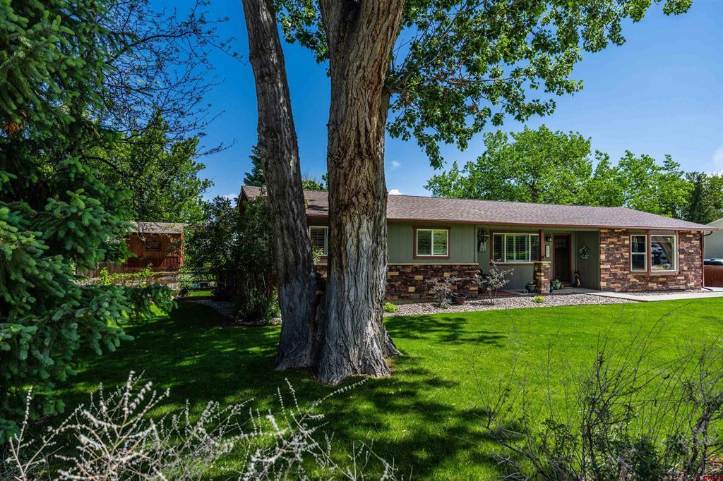 66111 Juniper Court Montrose CO 81403
