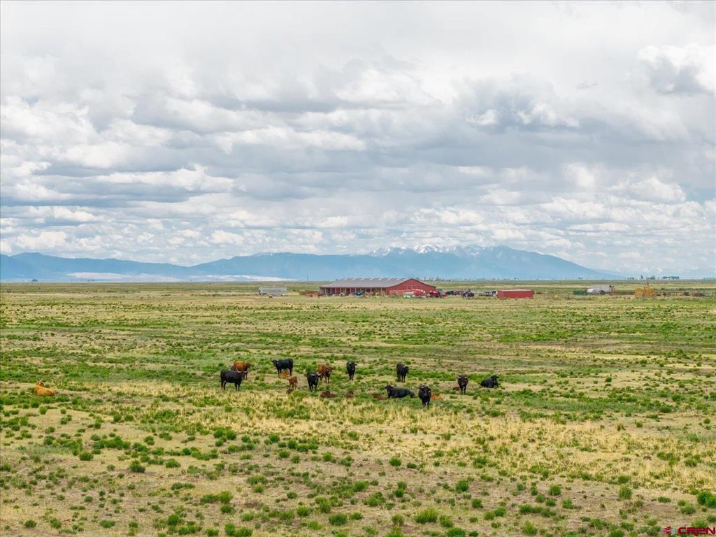 51273 County Road X Saguache CO 81149