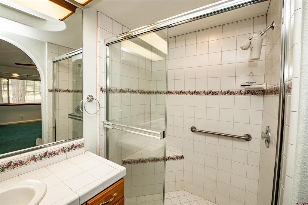 47 Antelope Avenue Pagosa Springs CO 81147