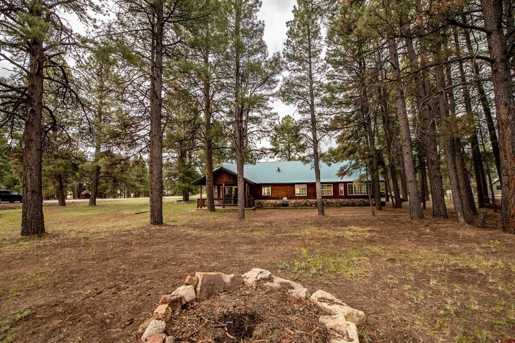 47 Antelope Avenue Pagosa Springs CO 81147