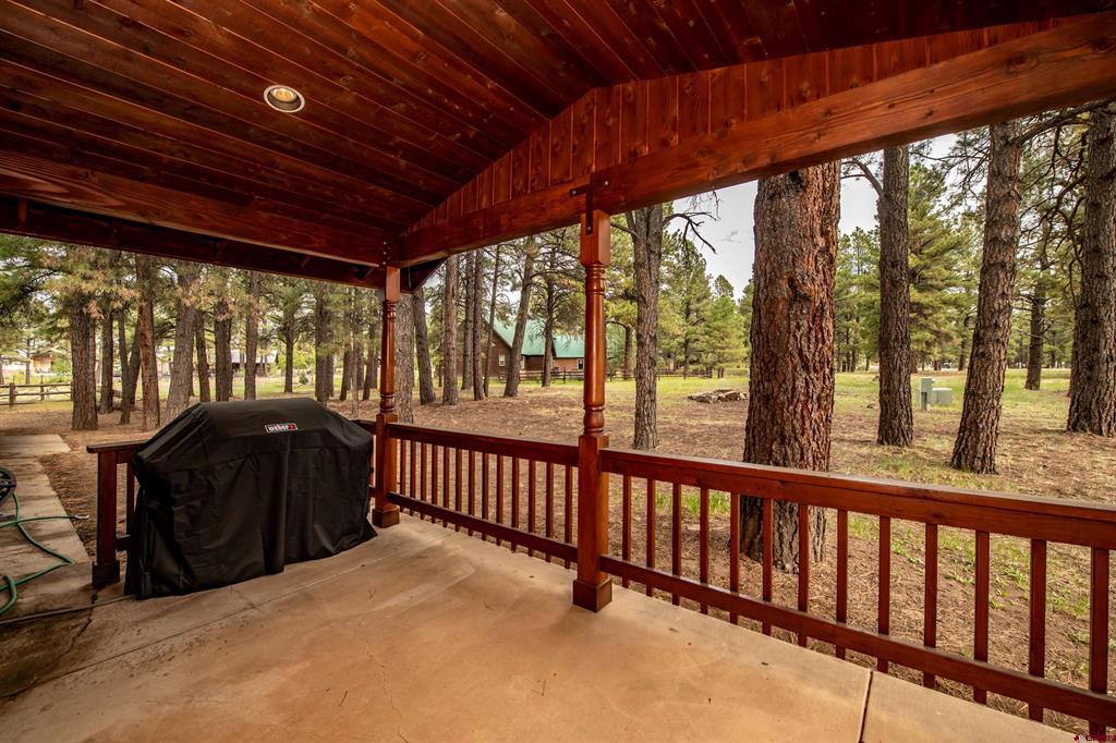 47 Antelope Avenue Pagosa Springs CO 81147