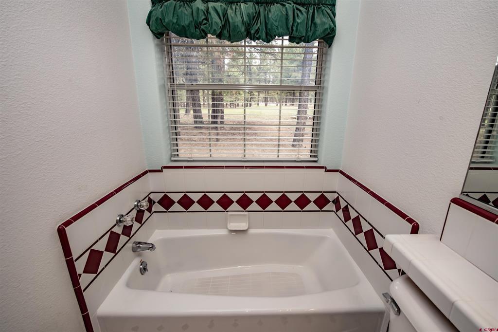 47 Antelope Avenue Pagosa Springs CO 81147