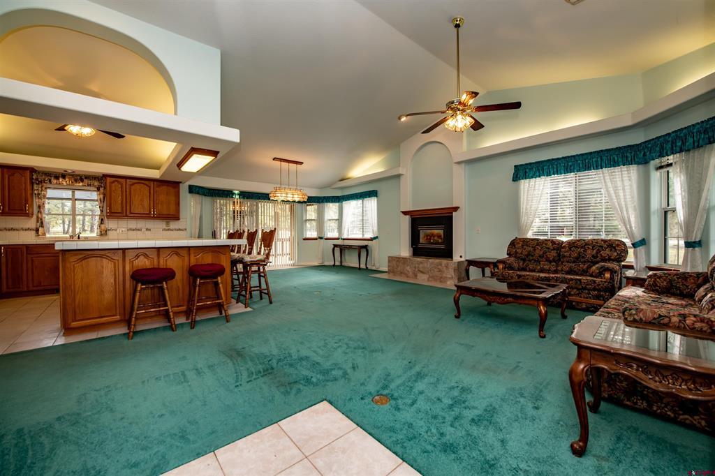 47 Antelope Avenue Pagosa Springs CO 81147