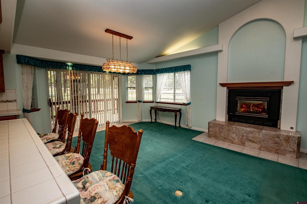 47 Antelope Avenue Pagosa Springs CO 81147