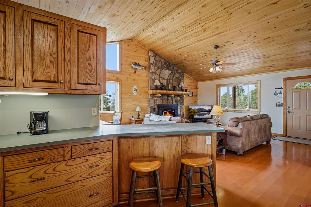 2000 County Road 359 Pagosa Springs CO 81147
