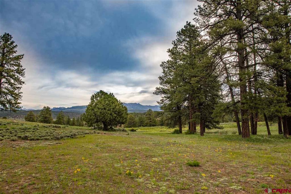 2000 County Road 359 Pagosa Springs CO 81147