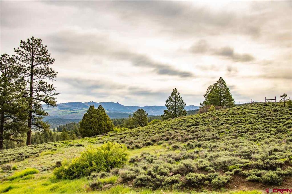 2000 County Road 359 Pagosa Springs CO 81147