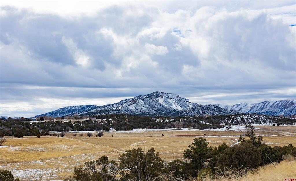 40926 Road J Mancos CO 81328