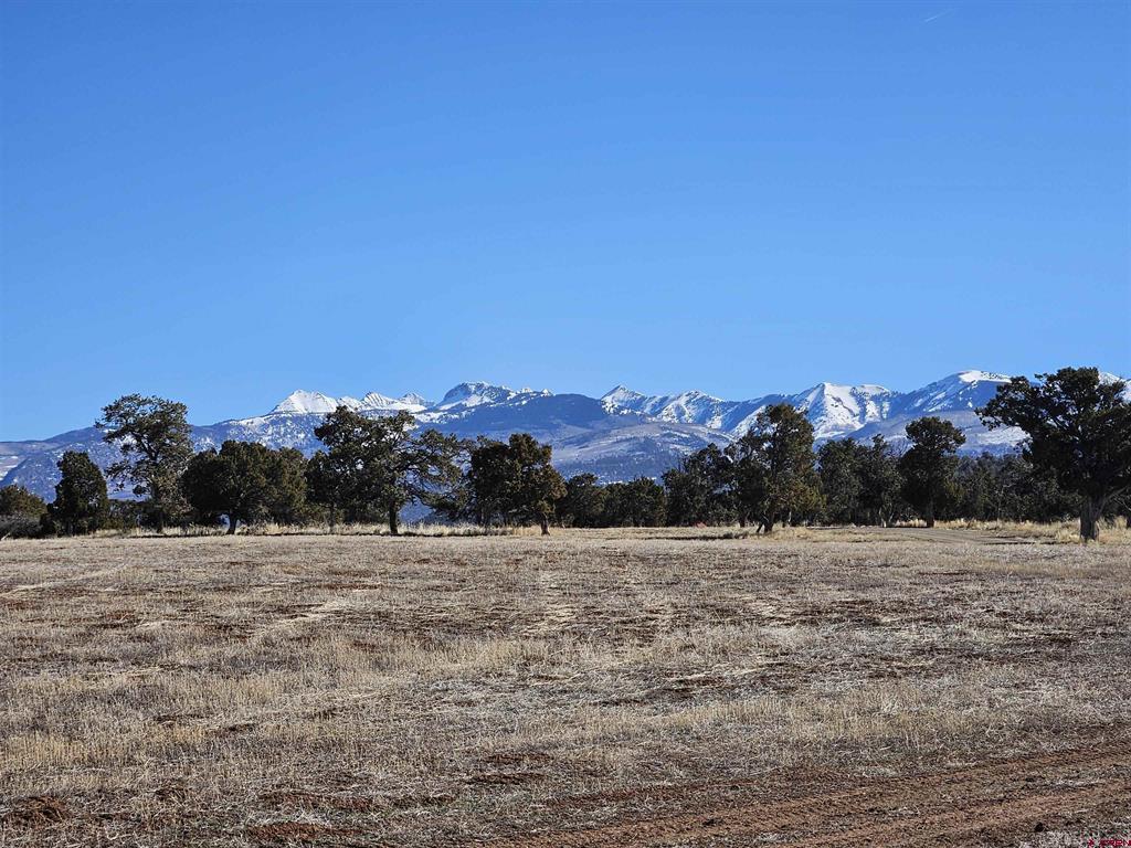 40926 Road J Mancos CO 81328