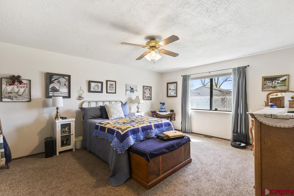 1043 Margo Court Montrose CO 81401