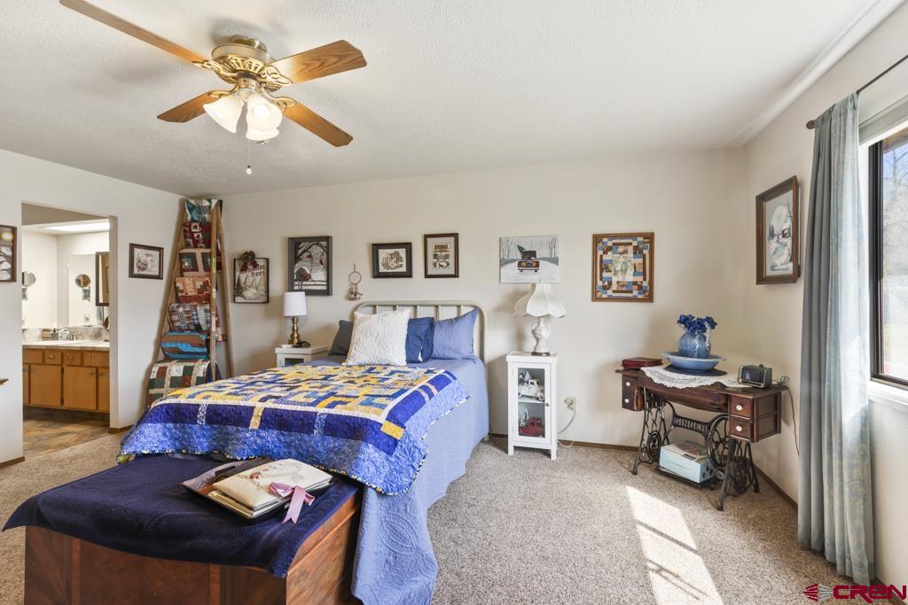 1043 Margo Court Montrose CO 81401